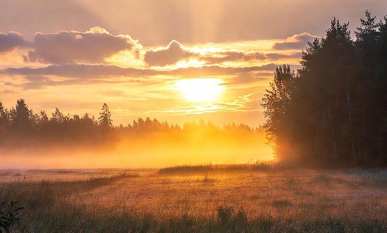 Kortisooli tasakaalustamine